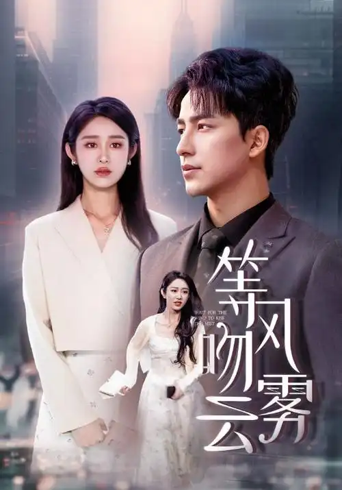 幸福的滋味 - 家庭情感剧海报